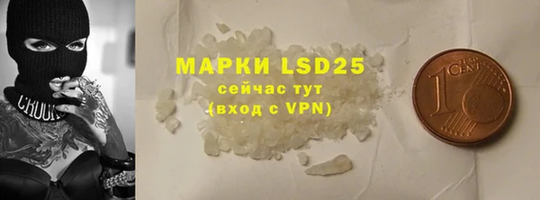 прущие грибы Алзамай