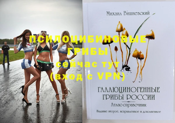 прущие грибы Алзамай