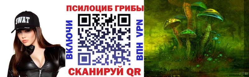 Псилоцибиновые грибы Cubensis  цены наркотик  Владикавказ 